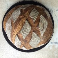 Sourdough loaf of bread at Medicine in Birmingham