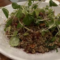 Mushroom freekeh  at Arabica Bar & Kitchen in South East London