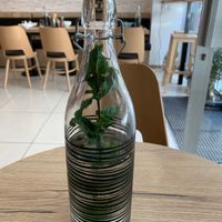 Mint water included for free if you eat in (sur place)!  at Poketea in Paris