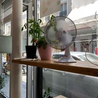 Best seat in the house! at Poketea in Paris