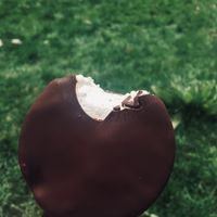 Mint ice cream bar  at Eat Me Ice Cream in Rochester