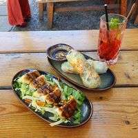 Pan fried dumplings and summerrolls at The Future is Up to You in Berlin