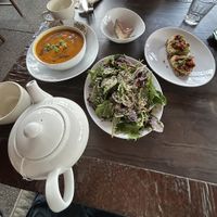   at True Nature Healing Arts Organic Cafe in Carbondale