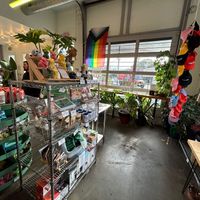   at Full Stop Station in Louisville