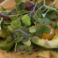 Herbivore flatbread 👎 at Brass Bowl in St Petersburg