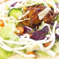 Onion bhaji salad wrap at Namaste Taste of India in North Shields