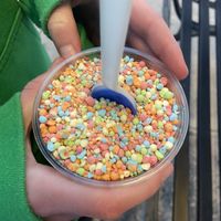 Rainbow Dip and Dots at Dippin' Dots in Panama City Beach