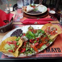  at Tijuana in Florence