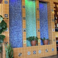 Pretty water wall  at The Grain Cafe in Redondo Beach