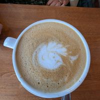 Bird latte art!! at The Grain Cafe in Redondo Beach