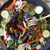 French Lentil Salad at Blacksmith in Berlin