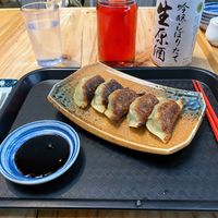 Kale gyozas  at Kayo's Ramen Bar in Portland