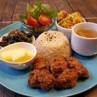 Dig in! at Neu Cat Cafe in Osaka