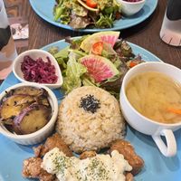   at Neu Cat Cafe in Osaka