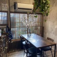   at Neu Cat Cafe in Osaka