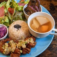  at Neu Cat Cafe in Osaka