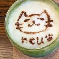  at Neu Cat Cafe in Osaka