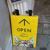  at Neu Cat Cafe in Osaka