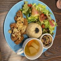   at Neu Cat Cafe in Osaka