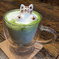 Matcha latte with soy milk at Neu Cat Cafe in Osaka