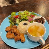   at Neu Cat Cafe in Osaka