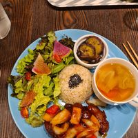  at Neu Cat Cafe in Osaka