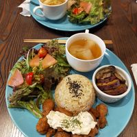  at Neu Cat Cafe in Osaka