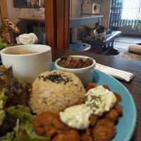  at Neu Cat Cafe in Osaka