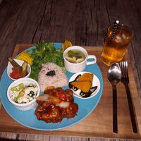  at Neu Cat Cafe in Osaka