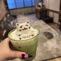   at Neu Cat Cafe in Osaka