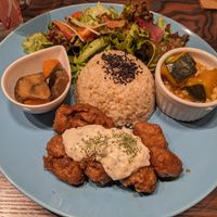  at Neu Cat Cafe in Osaka