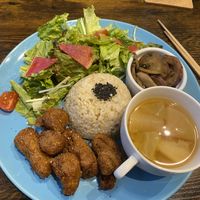   at Neu Cat Cafe in Osaka