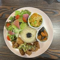   at Neu Cat Cafe in Osaka