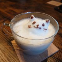  at Neu Cat Cafe in Osaka