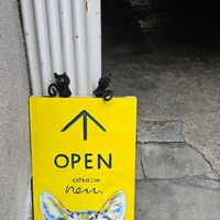 Entrance at Neu Cat Cafe in Osaka