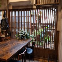  at Neu Cat Cafe in Osaka