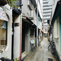   at Neu Cat Cafe in Osaka