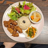  at Neu Cat Cafe in Osaka