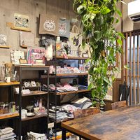  at Neu Cat Cafe in Osaka