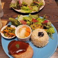  at Neu Cat Cafe in Osaka