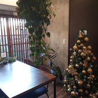 Eating Area. at Neu Cat Cafe in Osaka