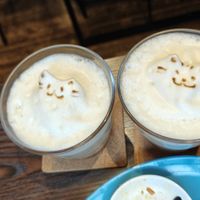 Earl grey lattes at Neu Cat Cafe in Osaka