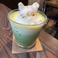   at Neu Cat Cafe in Osaka