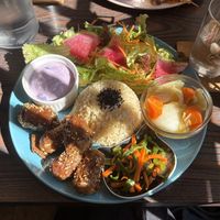   at Neu Cat Cafe in Osaka