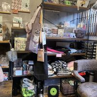   at Neu Cat Cafe in Osaka