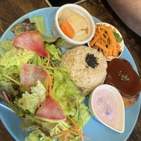   at Neu Cat Cafe in Osaka