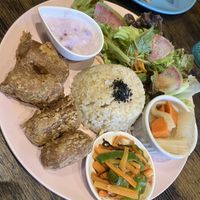   at Neu Cat Cafe in Osaka