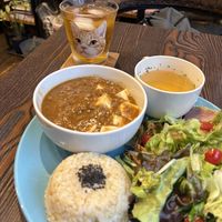   at Neu Cat Cafe in Osaka