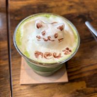  at Neu Cat Cafe in Osaka