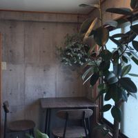 Side dining spot (1/3)  at Neu Cat Cafe in Osaka